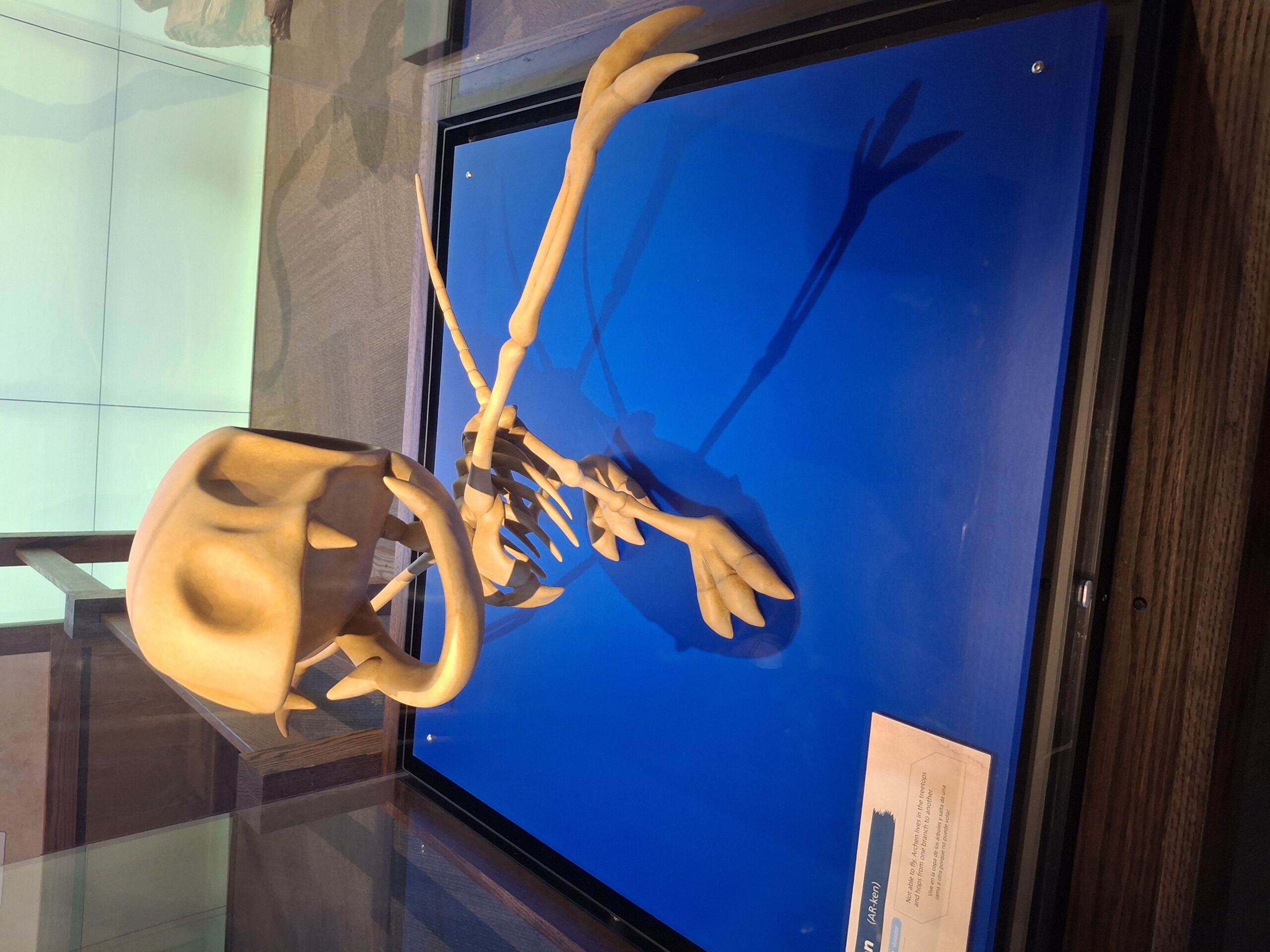 【海外の反応】ポケモン化石展に行った海外ファン、館内の様子を写真で紹介