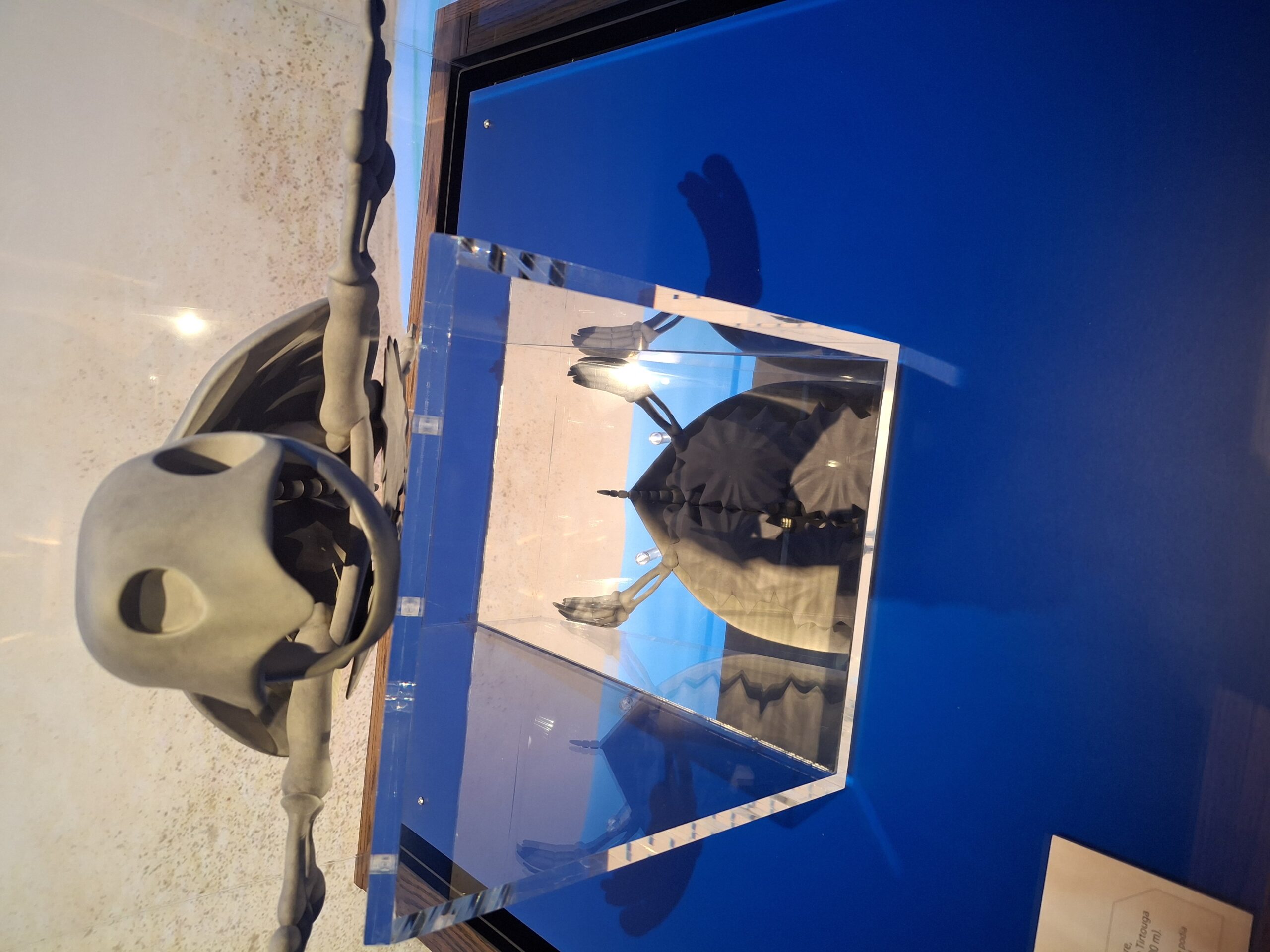 【海外の反応】ポケモン化石展に行った海外ファン、館内の様子を写真で紹介